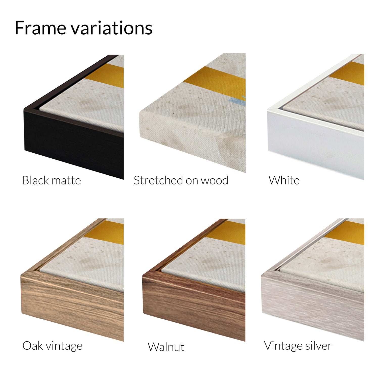 Birds in Harmony 00153