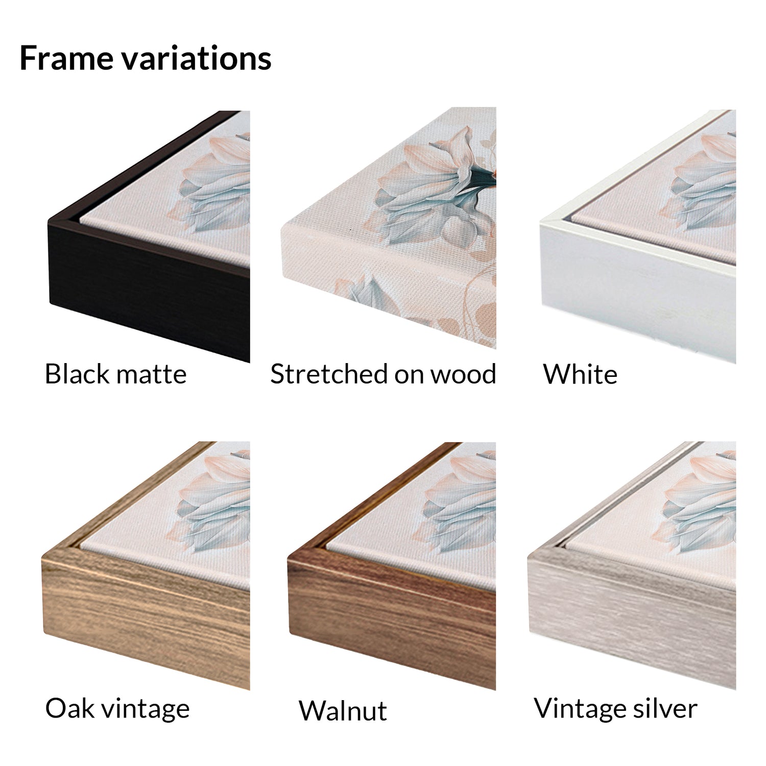 Whispers of Elegance 00285